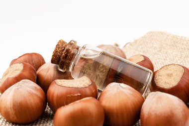 Yemek ve kozmetoloji için organik sebze yağları kavramı. Malzemeleri göstermek için fındık fıstığı. Cam şişedeki doğal yağ..