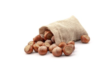 Beyaz arka plan üzerinde izole Sivas'tan çantasından taze fındık. 