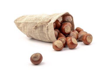 Beyaz arka plan üzerinde izole Sivas'tan çantasından taze fındık. 