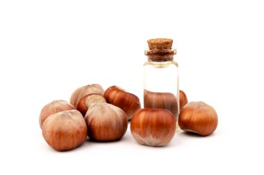 Yemek ve kozmetoloji için organik sebze yağları kavramı. Malzemeleri göstermek için fındık fıstığı. Cam şişedeki doğal yağ..