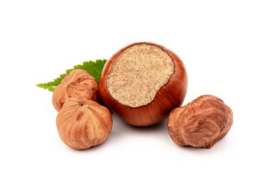 Fındık (Corylus avellana, hindistan cevizi, filbert) beyaz arkaplanda fındık yaprakları ile.