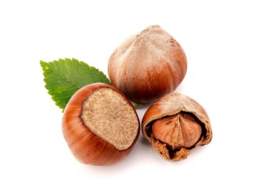 Fındık (Corylus avellana, hindistan cevizi, filbert) beyaz arkaplanda fındık yaprakları ile.