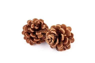 Yılbaşı çam kozalağı izole beyaz zemin üzerine.