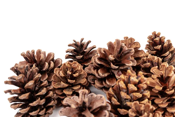 Christmas Pine Cone Isolated White Background Royalty Free Stock Photos