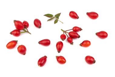 Rosehips (Rosa Canina meyveleri), beyaz arka planda izole.