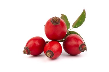 Rosehips (Rosa Canina meyveleri), beyaz arka planda izole.