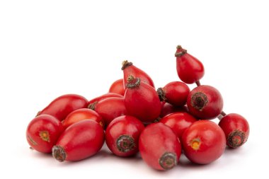 Rosehips (Rosa Canina meyveleri), beyaz arka planda izole.