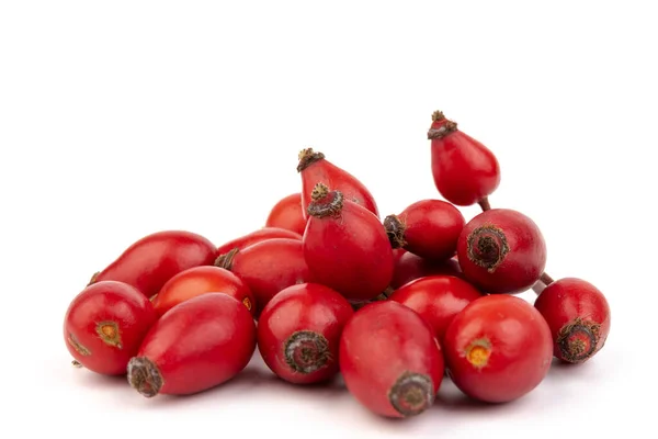 Rosehips (Rosa Canina meyveleri), beyaz arka planda izole.