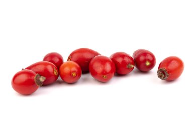 Rosehips (Rosa Canina meyveleri), beyaz arka planda izole.