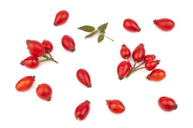 Rosehips (Rosa Canina meyveleri), beyaz arka planda izole.