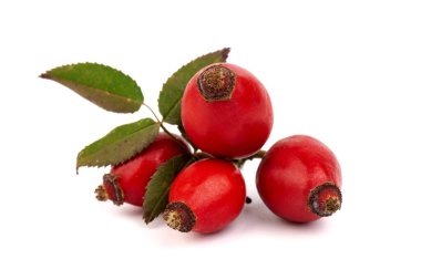 Rosehips (Rosa Canina meyveleri), beyaz arka planda izole.