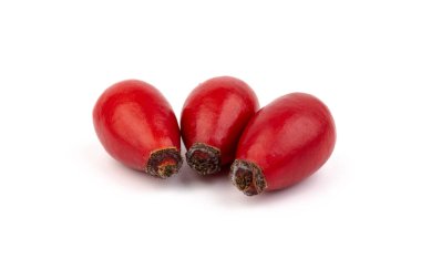 Rosehips (Rosa Canina meyveleri), beyaz arka planda izole.