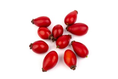 Rosehips (Rosa Canina meyveleri), beyaz arka planda izole.