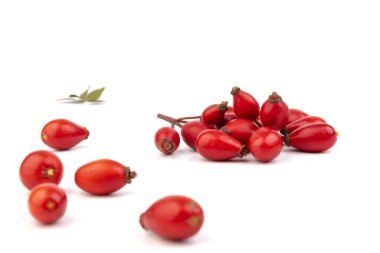 Rosehips (Rosa Canina meyveleri), beyaz arka planda izole.