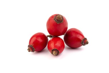Rosehips (Rosa Canina meyveleri), beyaz arka planda izole.