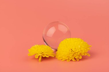 Cam bir topa yansıyan çiçekli soyut kompozisyon. Güzellik günlüğü düzeni. 