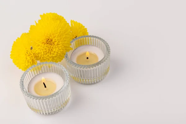 Płonące Świece Herbaty Świeżymi Żółtymi Kwiatami Jasnym Tle — Zdjęcie stockowe