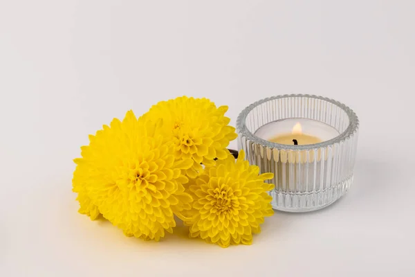 Brennende Teelichter Mit Frischen Gelben Blumen Auf Hellem Hintergrund — Stockfoto
