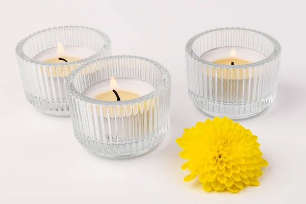 Burning Tea Candles Fresh Yellow Flowers Light Background — Stock Photo, Image