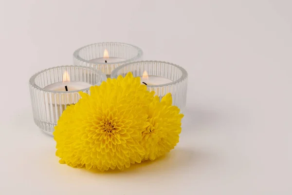 Κάψιμο Κεριών Τσαγιού Φρέσκα Κίτρινα Λουλούδια Στο Φως Φόντο — Φωτογραφία Αρχείου