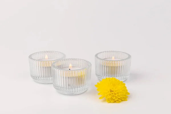 Het Branden Van Thee Kaarsen Met Verse Gele Bloemen Een — Stockfoto