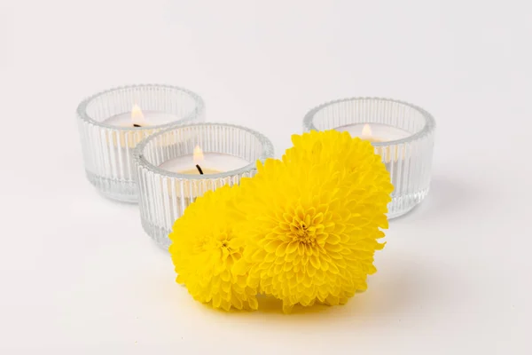 Płonące Świece Herbaty Świeżymi Żółtymi Kwiatami Jasnym Tle — Zdjęcie stockowe