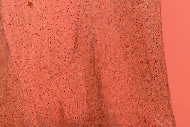 Sıvı sanat jeli arka planı. Soyut desenli mercan arka planı. İçinde kabarcıklar ve pullar olan şeffaf balçık. Çocuk oyuncağı sümüğü..