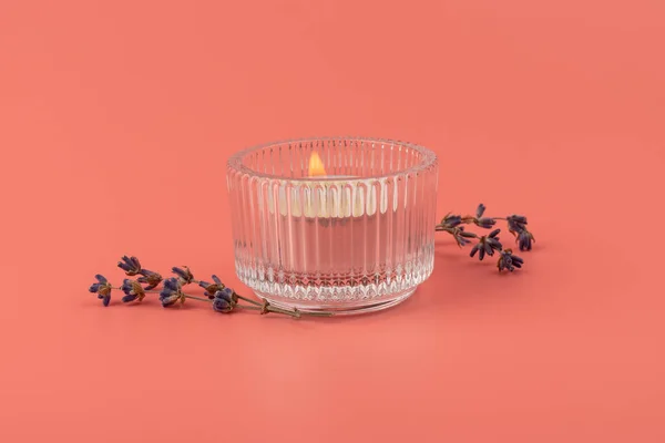 Κάψιμο Κεριών Και Αποξηραμένη Λεβάντα Ροζ Φόντο Αρχική Αρωματοθεραπεία — Φωτογραφία Αρχείου