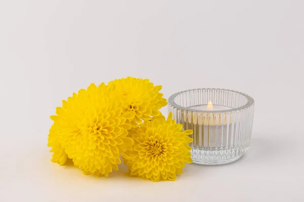 Brennende Teelichter Mit Frischen Gelben Blumen Auf Hellem Hintergrund — Stockfoto
