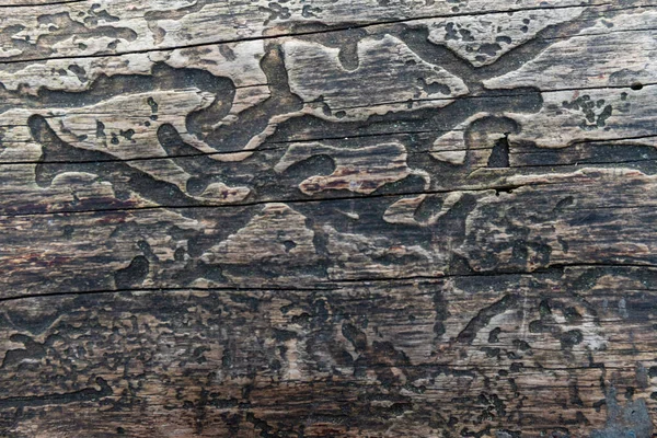 旧的垃圾深色纹理的木质背景 表面的老褐色木材质地 顶部视图棕木 Panelitng — 图库照片