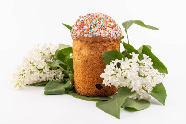 Paskalya ekmeği kulich ve leylak çiçekleri. Bahar ve Paskalya konsepti.