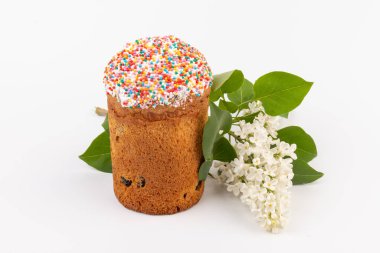 Paskalya ekmeği kulich ve leylak çiçekleri. Bahar ve Paskalya konsepti.