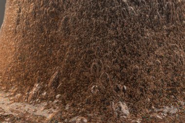 Soyut desenli, içi kabarcıklı şeffaf balçık. Çocuk oyuncağı sümüğü..