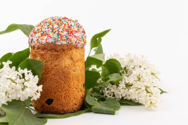 Paskalya ekmeği kulich ve leylak çiçekleri. Bahar ve Paskalya konsepti.