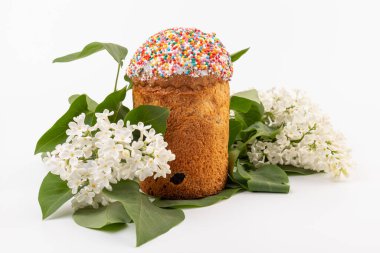 Paskalya ekmeği kulich ve leylak çiçekleri. Bahar ve Paskalya konsepti.