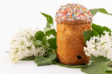 Paskalya ekmeği kulich ve leylak çiçekleri. Bahar ve Paskalya konsepti.