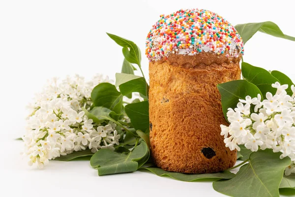 Paskalya ekmeği kulich ve leylak çiçekleri. Bahar ve Paskalya konsepti.