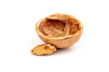 Çiğ ve taze ceviz, beyaz arka planda izole edilmiş. Metin için boşluk.