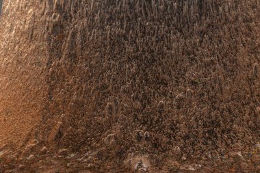 Soyut desenli, içi kabarcıklı şeffaf balçık. Çocuk oyuncağı sümüğü..