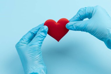 Kadın doktor el ele tutuşup kırmızı oyuncak kalbi kapatıyor. Kardiyoloji kavramı.