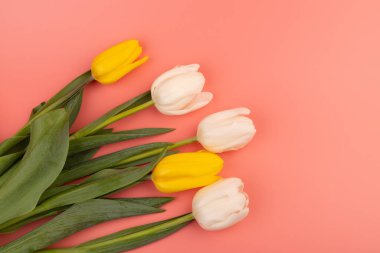 Kopya alanı olan laleleri yukarıdan görüntüle. Kadınlar Günü için arka plan, 8 Mart Sevgililer Günü, 14 Şubat. Düz yatış stili, üst görünüm, model, şablon, genel giderler. Tebrik kartı