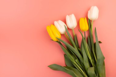 Kopya alanı olan laleleri yukarıdan görüntüle. Kadınlar Günü için arka plan, 8 Mart Sevgililer Günü, 14 Şubat. Düz yatış stili, üst görünüm, model, şablon, genel giderler. Tebrik kartı