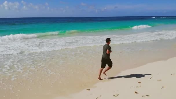 해변을 달리고 있는 달리기 선수의 뒷모습 — 비디오