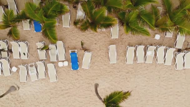 Crisi nel settore turistico. Spiaggia con palme. — Video Stock