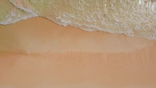 Flygfoto över havet kustlinje med sandstrand — Stockvideo