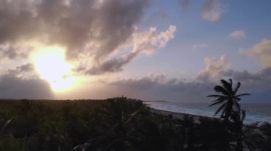 Güzel mavi gökyüzüne karşı palmiye ağaçları.