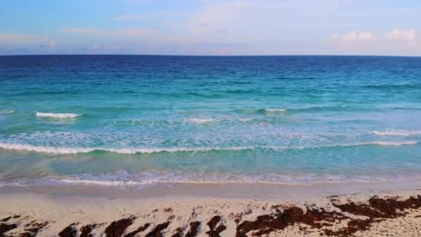 Sea shore with sandy white beach. Algae beached beach. — Stockvideo