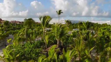 Aerial view of luxury swimming pool, palm trees