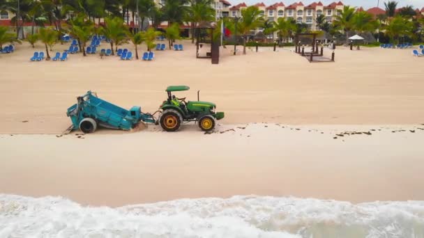 Трактор видаляє сміття і водорості на пляжі. — стокове відео