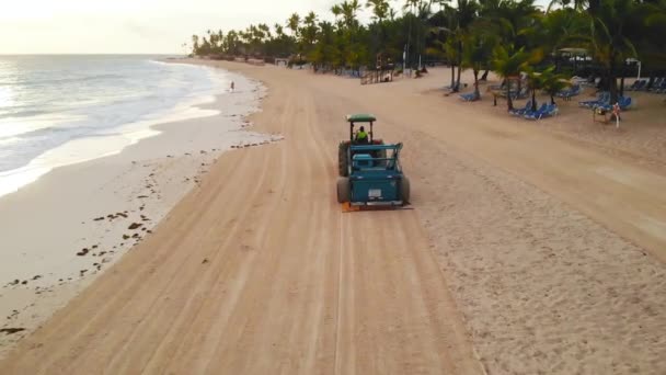 トラクターは、ビーチの破片や藻類を削除します — ストック動画
